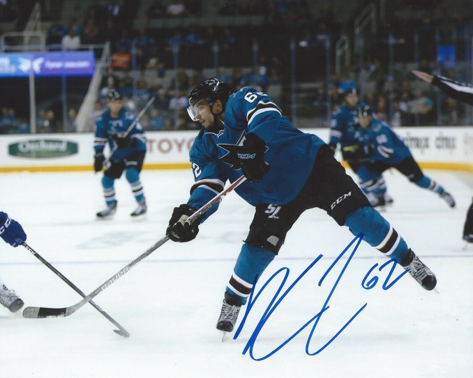 Kevin Labanc Signed 8x10 Photo Poster painting San Jose Sharks Autographed COA D