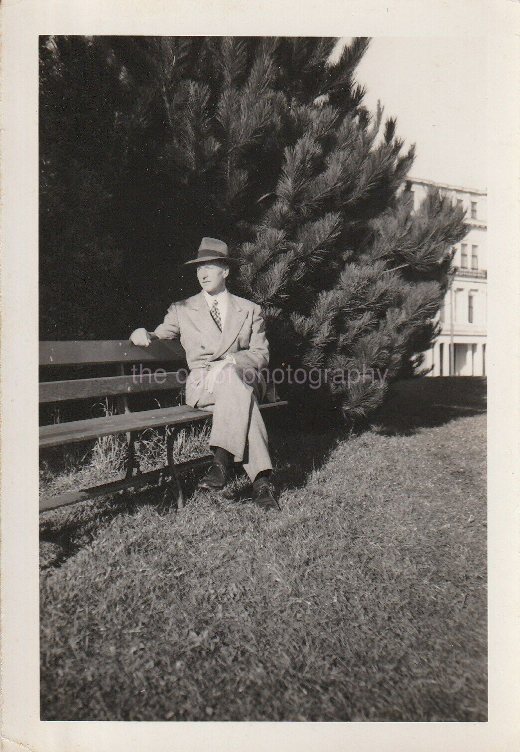 A GUY ON A BENCH Vintage FOUND Photo Poster painting bwOriginal Snapshot 92 11