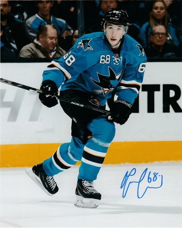 San Jose Sharks Melker Karlsson Signed Autographed 8x10 NHL Photo Poster painting COA H