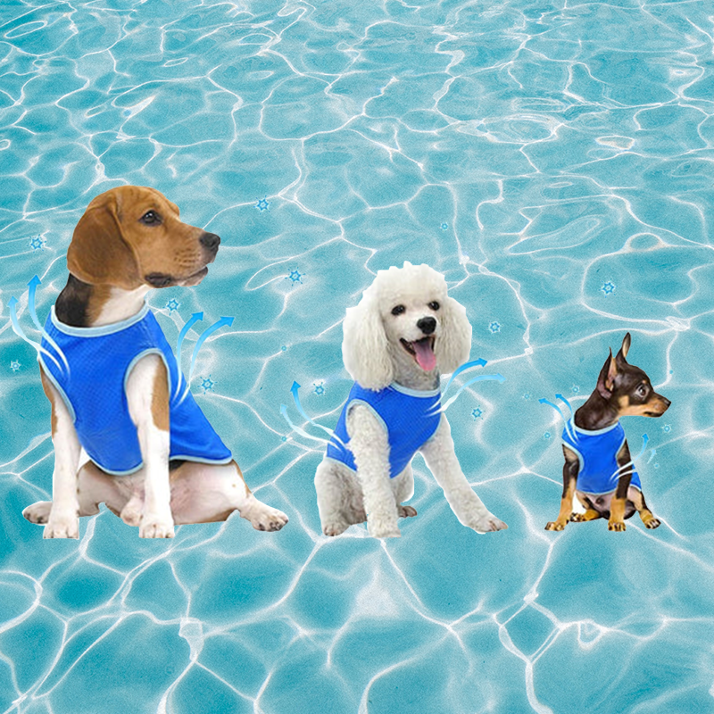 Summer Dog Cooling Vest