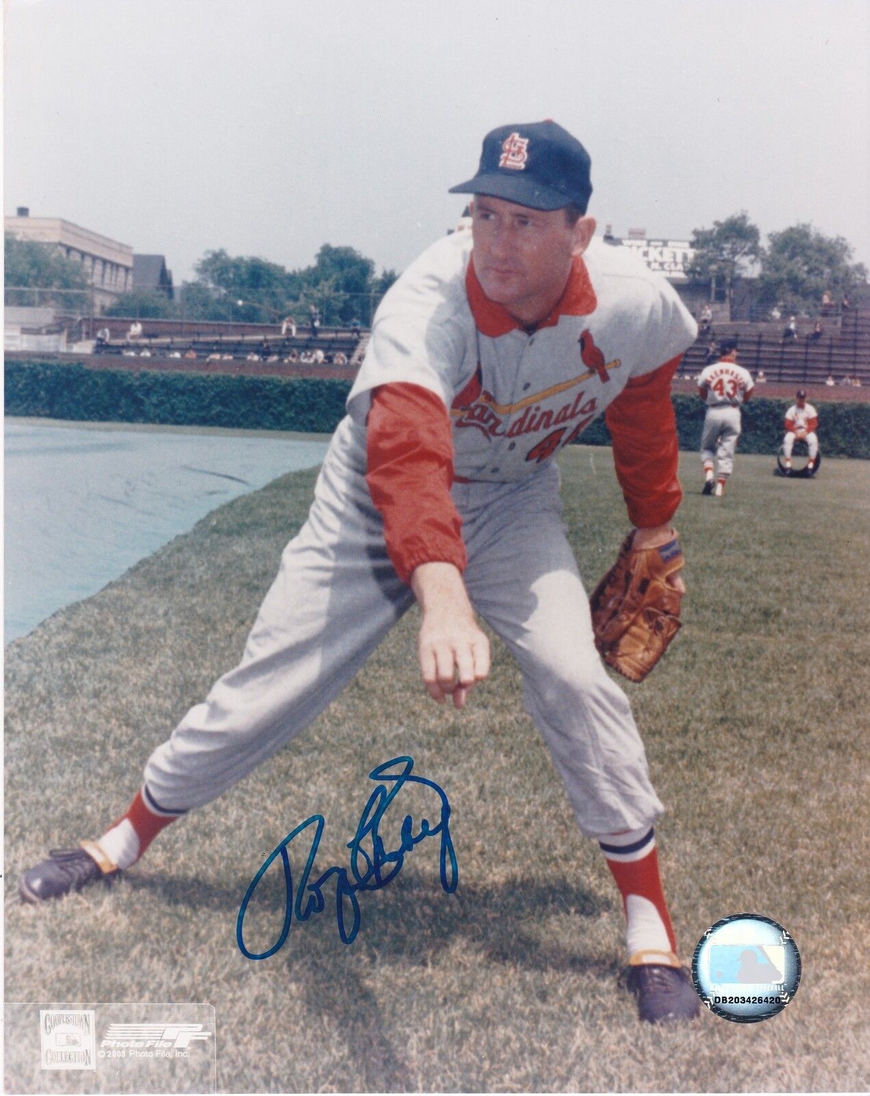 ROGER CRAIG ST. LOUIS CARDINALS ACTION SIGNED 8x10