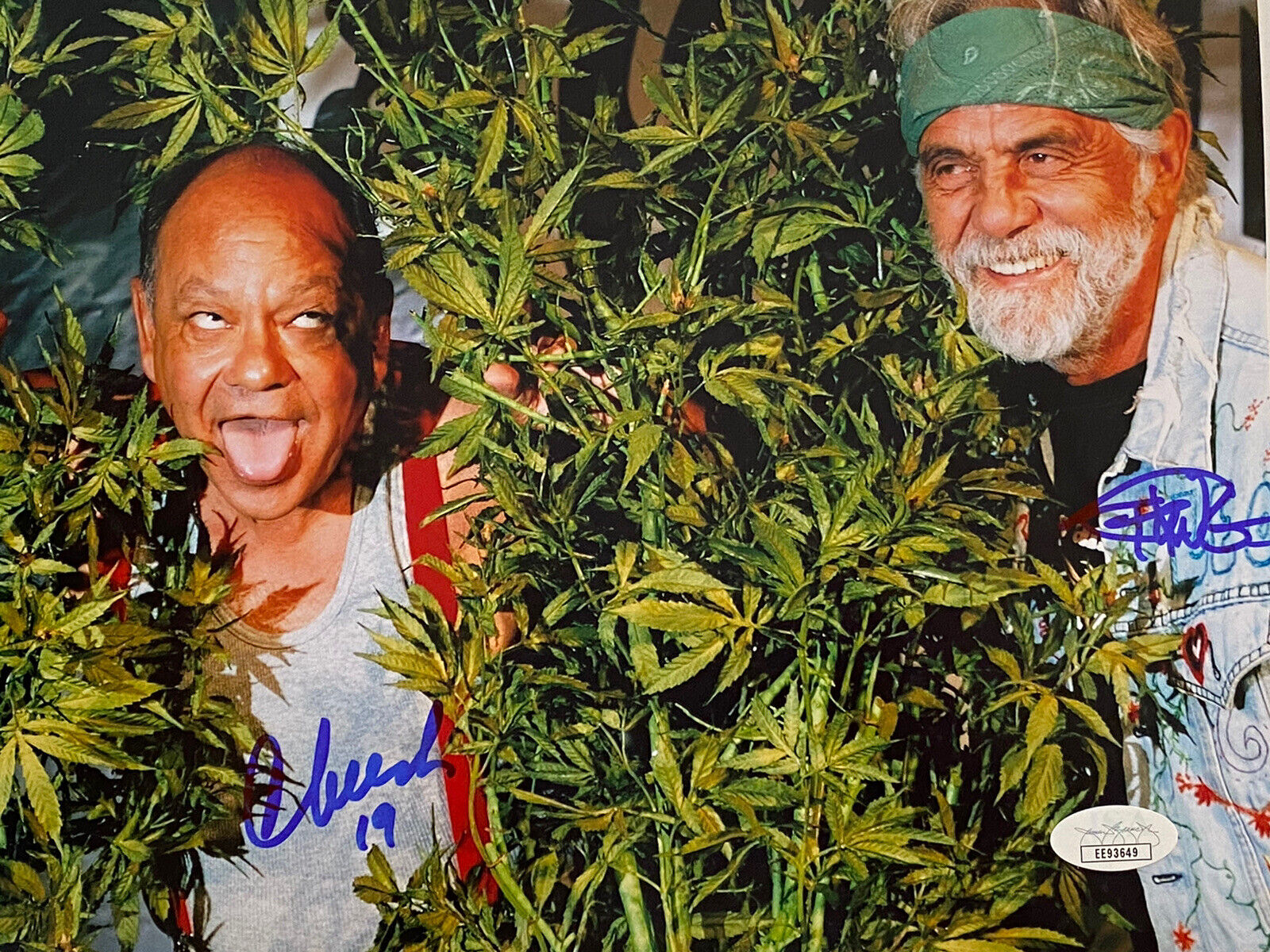 Cheech and Chong Autograph 8x10 Photo Poster painting Signed JSA COA Stoner, weed,