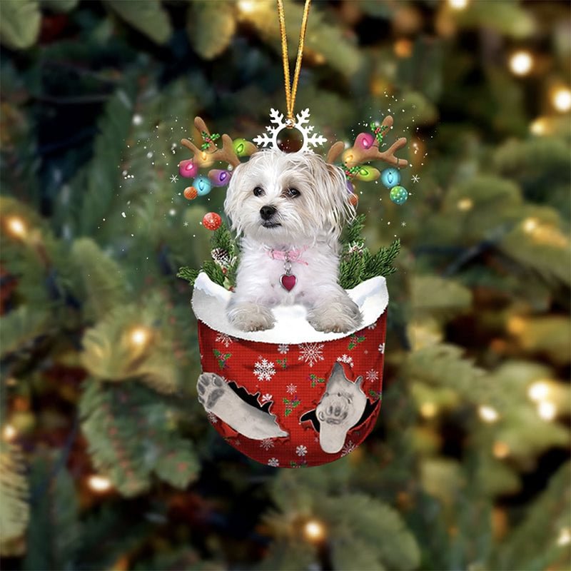 Maltese and Yorkie Mix In Snow Pocket Christmas Ornament.