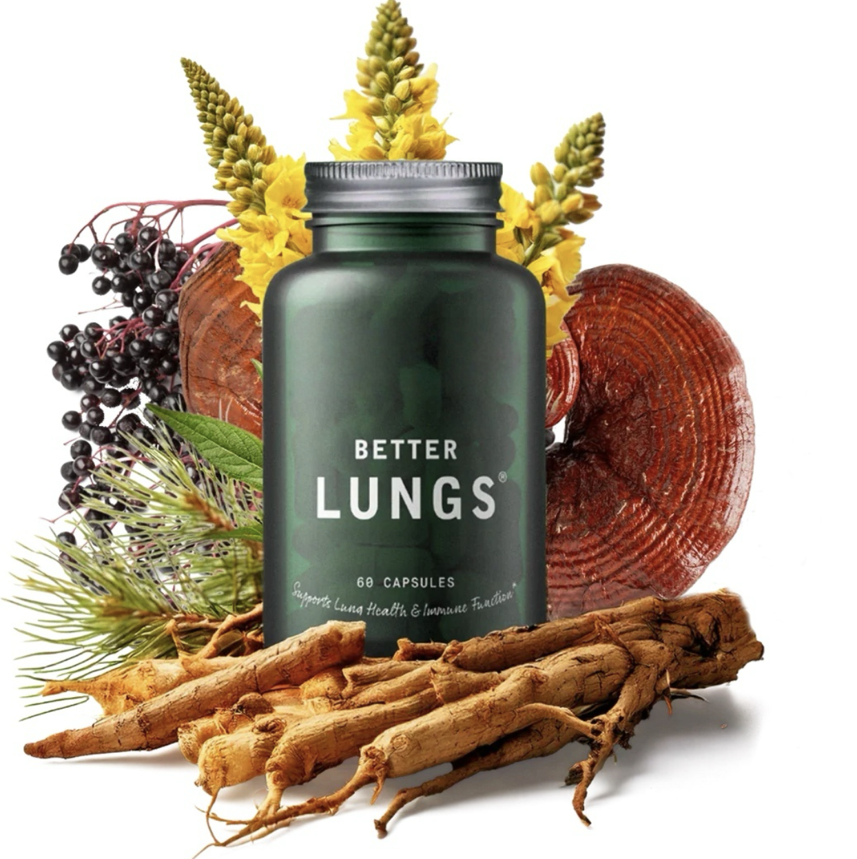Lung Detox Capsules with Mullein, Elderberry & Cysteine