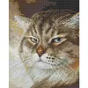 Angry Cat-14CT Stamped Cross Stitch 25*30cm/9.84*11.81in tapestrymarket