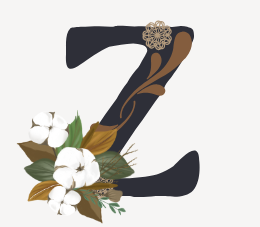 www.zaraion.com favicon