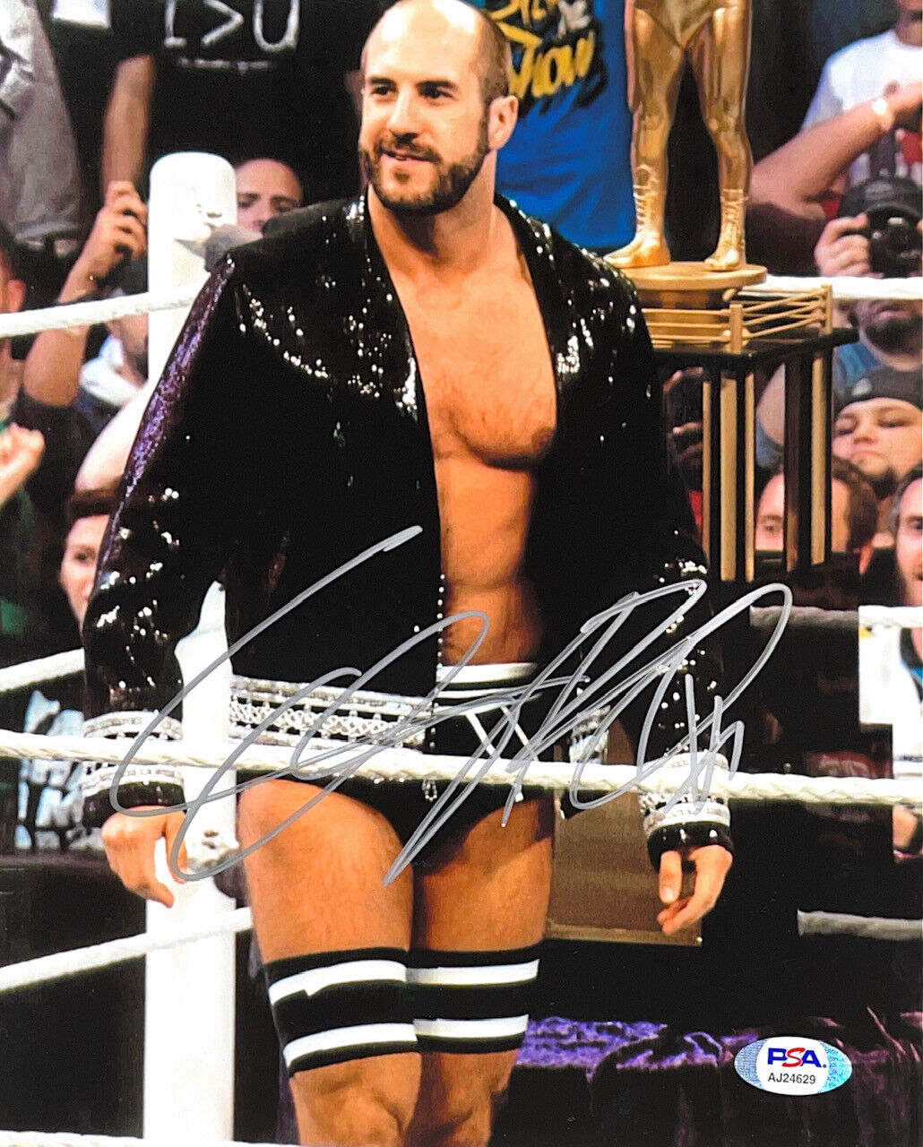 WWE CESARO HAND SIGNED AUTOGRAPHED 8X10 WRESTLING Photo Poster painting WITH PSA DNA COA 4 RARE