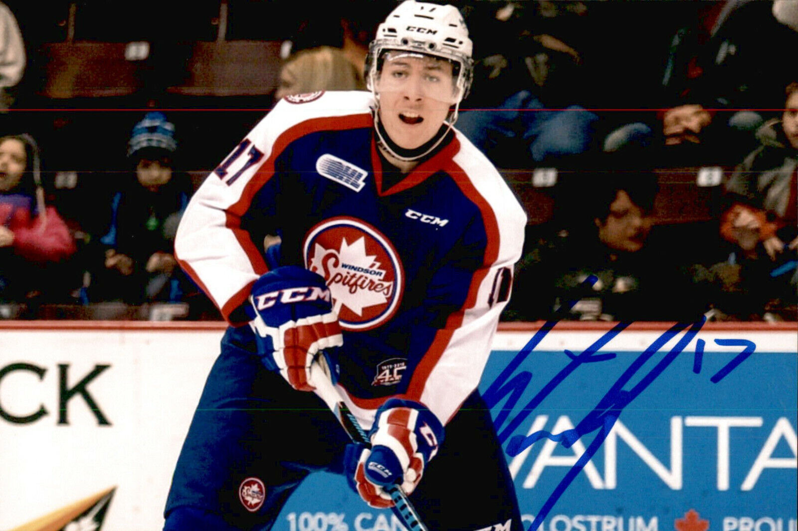 Logan Stanley SIGNED 4x6 Photo Poster painting WINDSOR SPITFIRES / WINNIPEG JETS #3