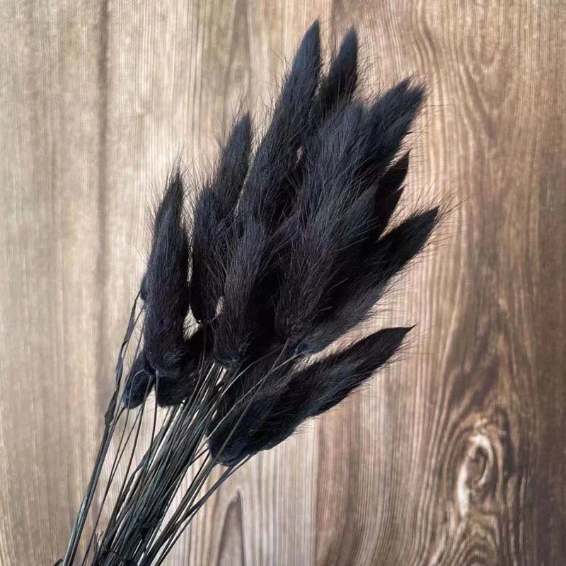 Christmas Gift 35-40CM/50PCS Dry Bunny Tails Grass ,Dried Natural Flowers Rabbittail Bouquet,DIY Hare's Tail Flower For Home Decor,Wedding