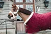 High-end Customized High-quality Horse Clothing Horse Blankets