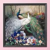 (Counted/Stamped) 11CT Peafowl- Cross Stitch 46*46cm/18.11*18.11in