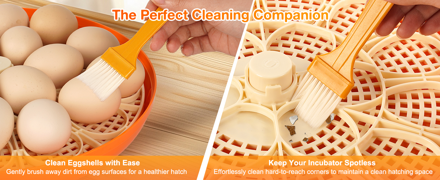 incubator with cleaning brush