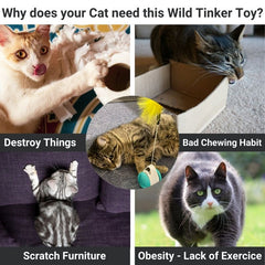 Benefits of wild tinker cat toy