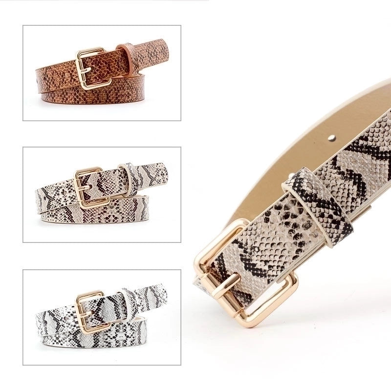 Basic Snakeskin Imitation Leather Alloy Women’s Leather Belts