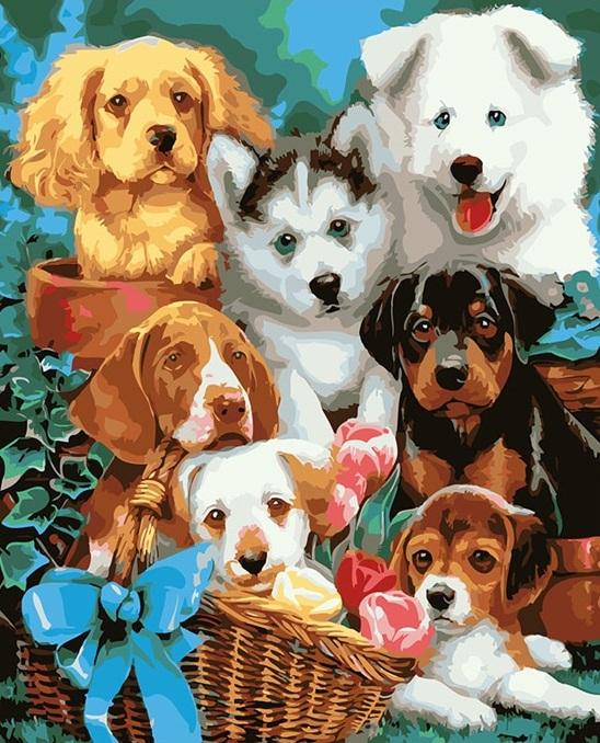 

Cute Puppies – Paint By Numbers - 40*50CM, 501 Original