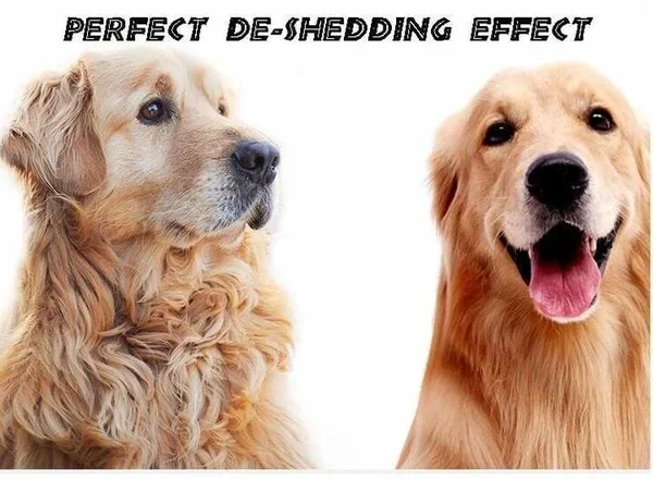 Pet Safe Dematting Comb(BUY 2 GET 1 FREE NOW)