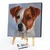 uk.everydayedeals (Limited Stock)Paint By Number - Oil Painting -  Dog (40*40Cm)