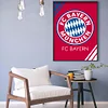 Fußball FC Bayern München - Rund Diamant Malerei - 30*40CM
