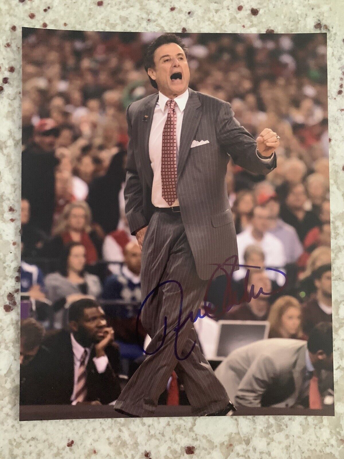 Rick Pitino signed 8X10 Photo Poster painting Louisville Cardinals