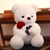 Gioiacombo™ Regalo di San Valentino Rose Teddy Bear