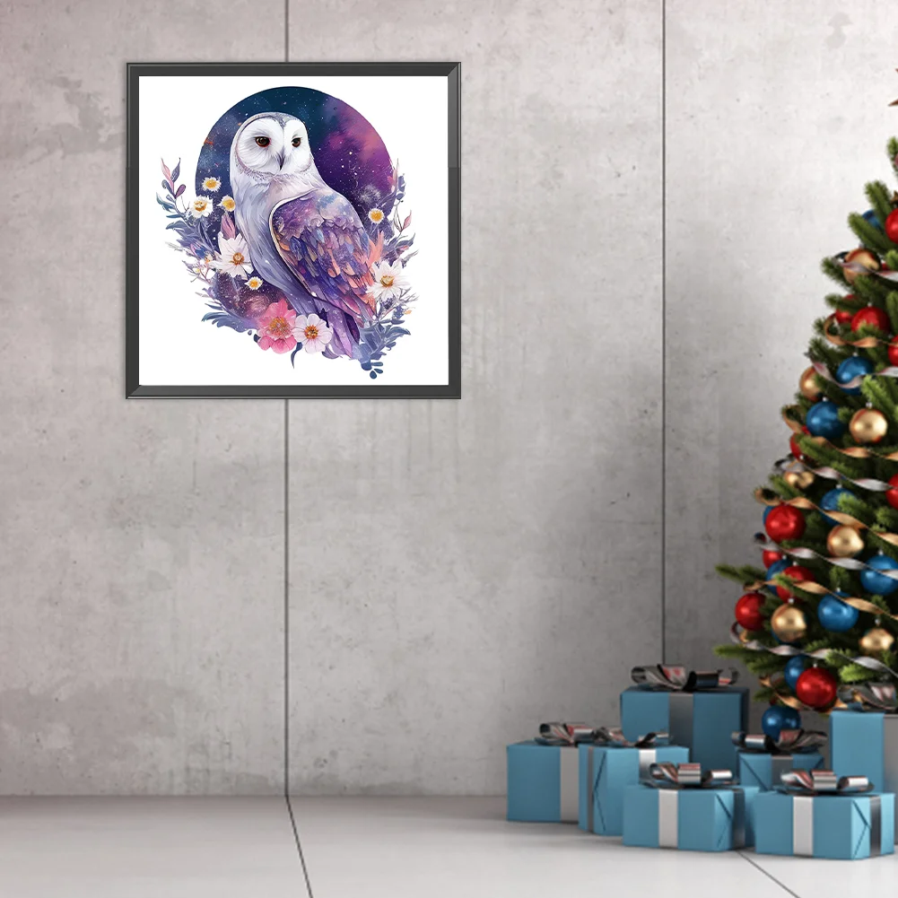 DIY Paint By Number 40*40cm - Owl