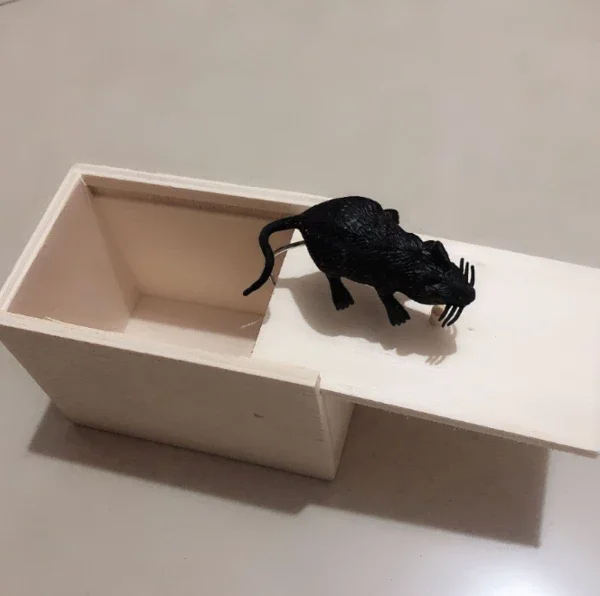 prank insect wooden scare box trick play funny novelties toys tricks spider limited sale