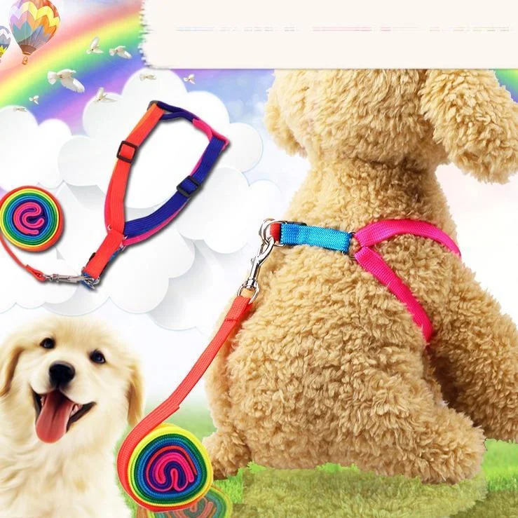 Cute Rainbow Pet Leash