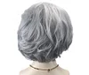 Silver Grey Short Curly Wigs