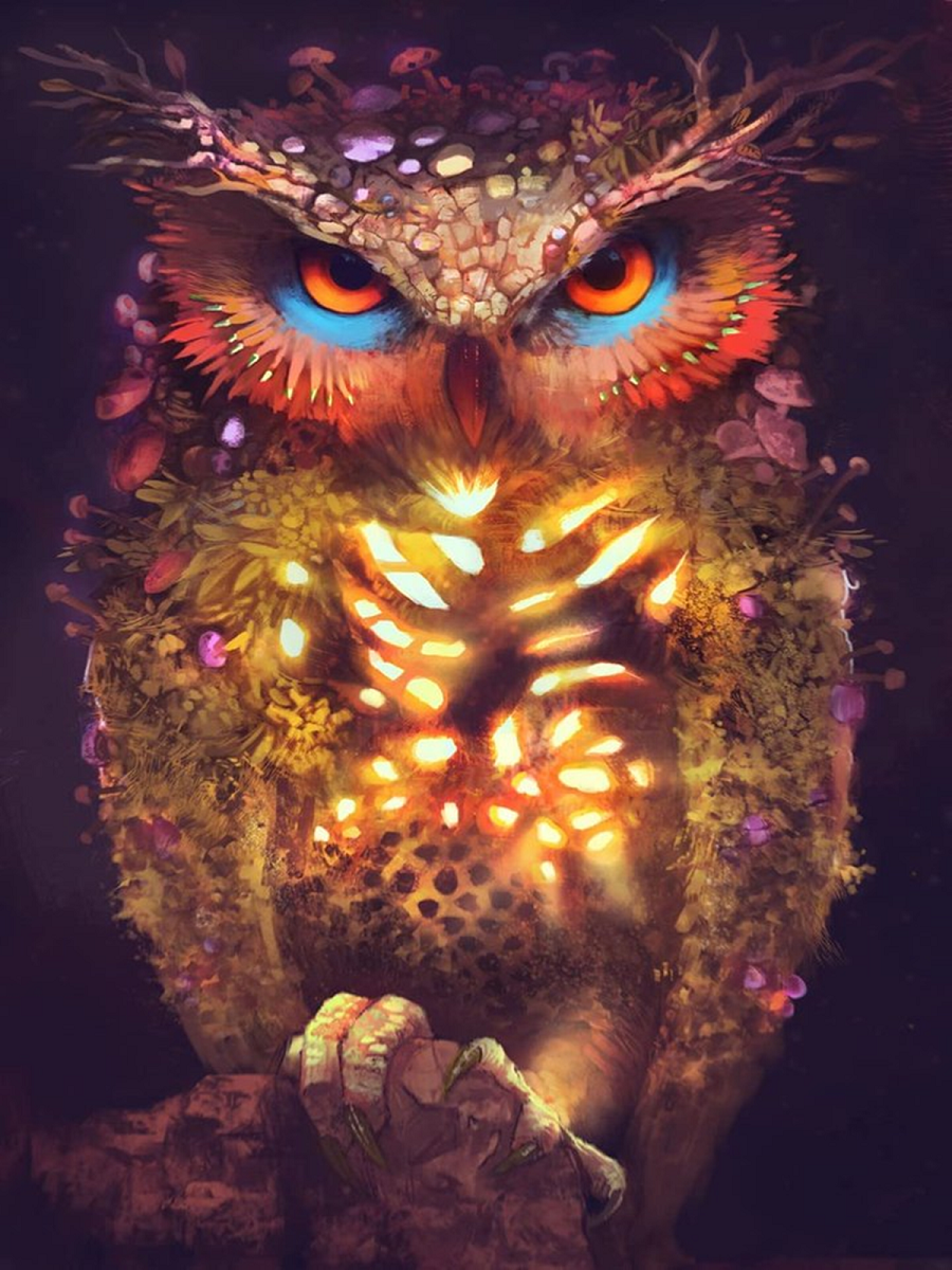 Luminous Owl 30*40cm(canvas) full round drill diamond painting