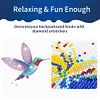 6 PCS Christmas Diamonds Painting Stickers Kit for Boy Girls Gift (Hummingbird)