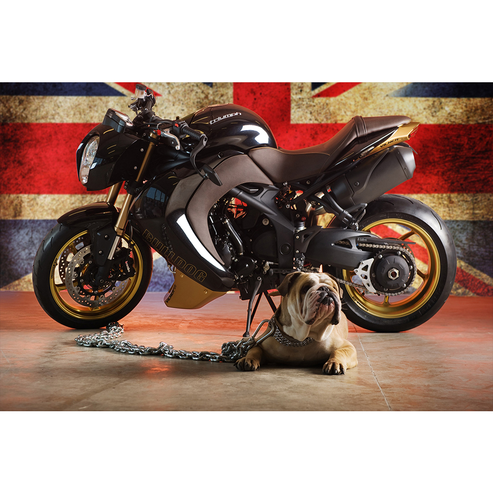 

Motocycle - 11CT Stamped Cross Stitch - 55*40CM, 501 Original