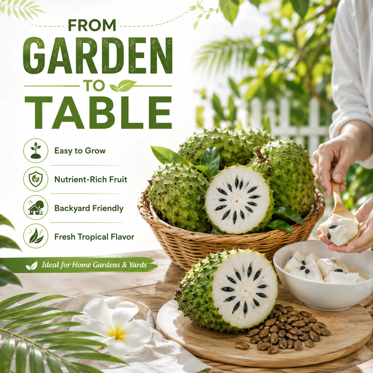 💥🌸 Organic Soursop (Graviola) Seeds – Non-GMO Heirloom Tropical Fruit seeds