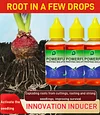 Quick Rooting Liquid