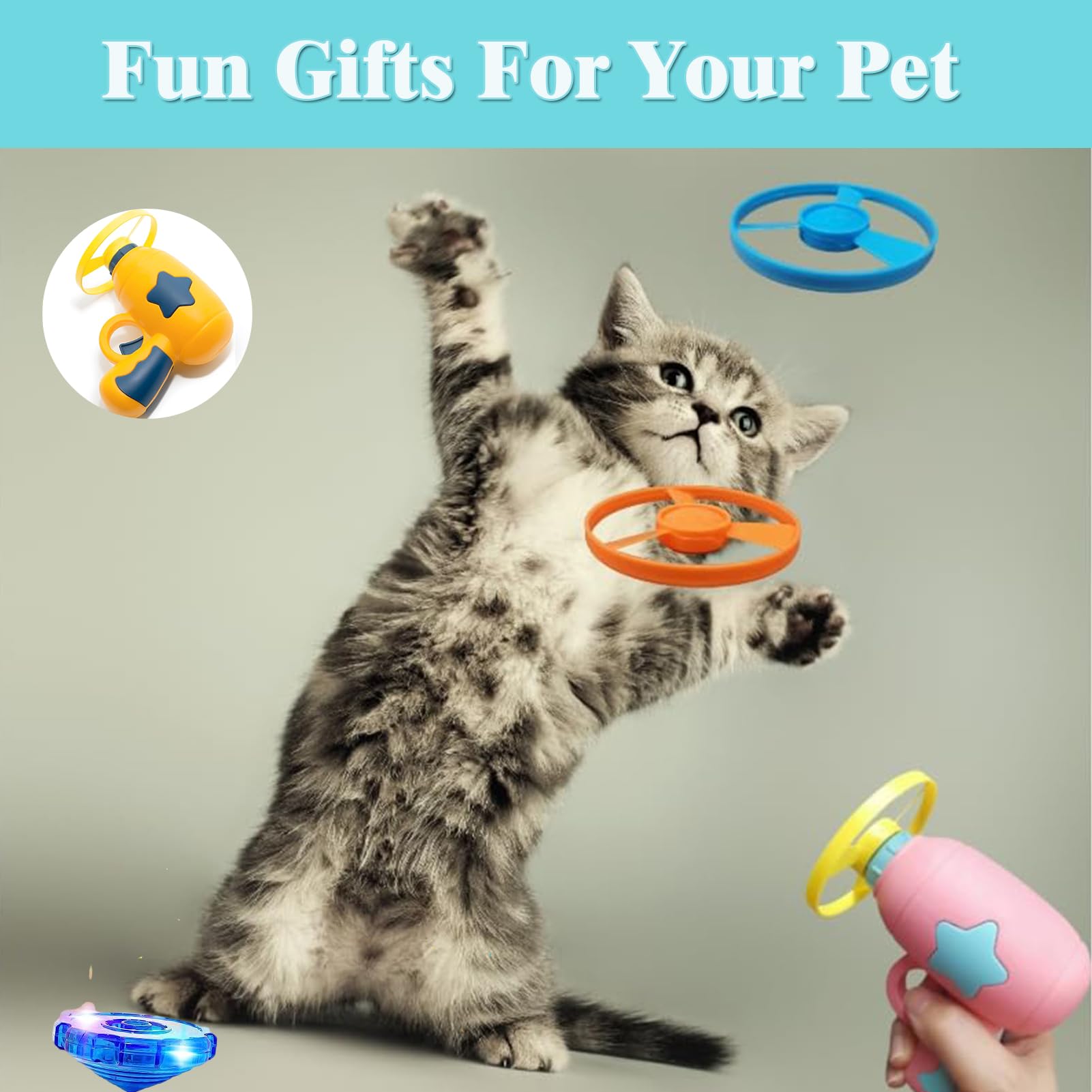Cat jumping for toy