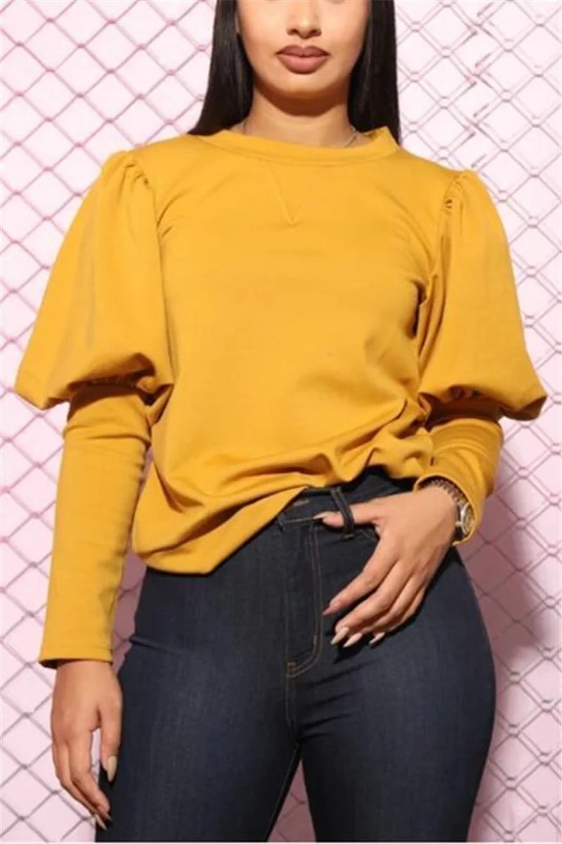 Fashion Loose Lantern Sleeve Top