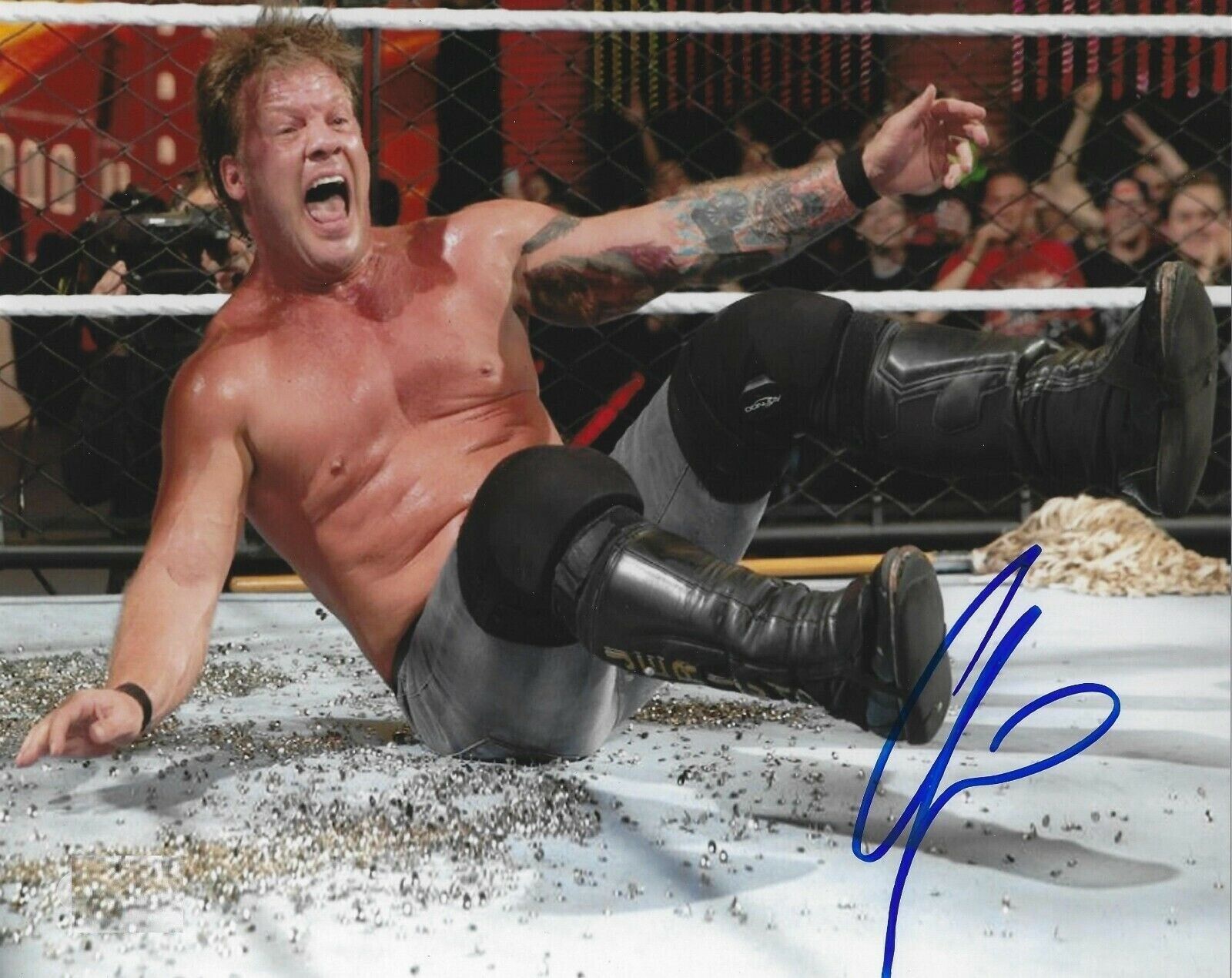 CHRIS JERICHO WWE WWF Autographed Signed 8x10 Photo Poster painting REPRINT