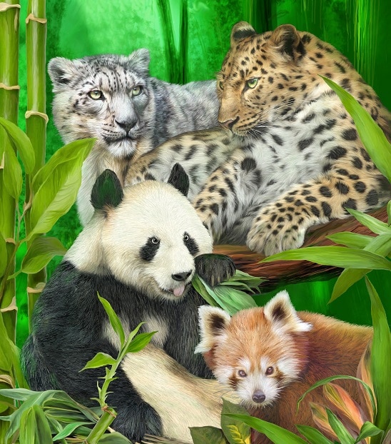 

Pandas And Tigers – Paint By Numbers - 40*50CM, 501 Original