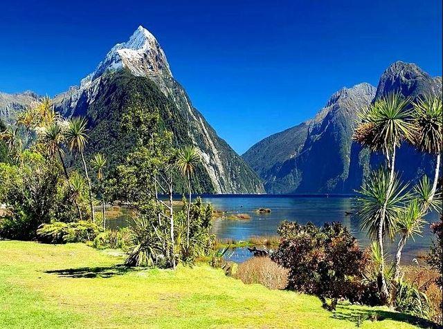 

Milford Sound – Paint By Numbers - 40*50CM, 501 Original