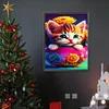 Cat  - round drill diamond painting - 30*40cm