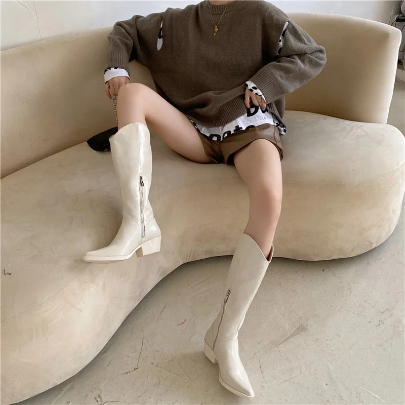 Women's High Heels Wedges Boots Lady Riding Cowboy Long Boots 2021 Spring Winter Designers Pointed Toe Knee Fashion Female Boot