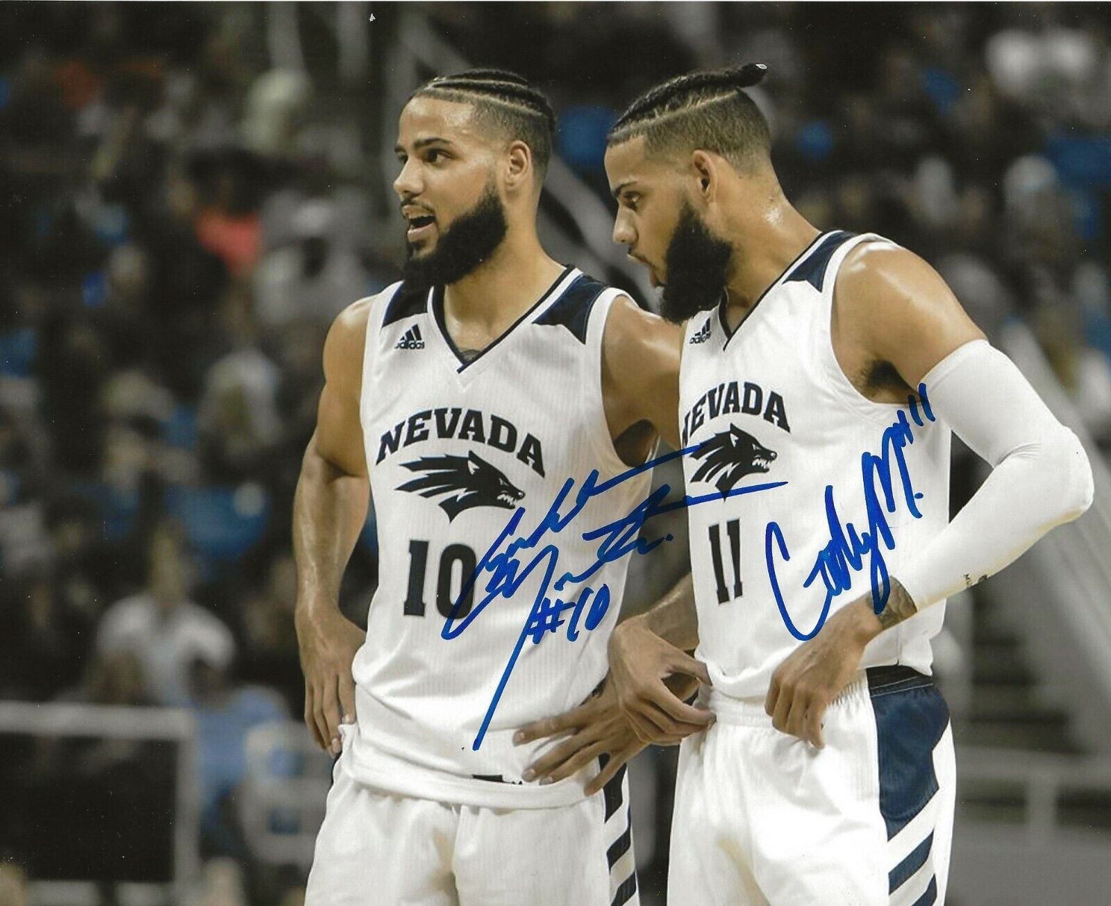 Caleb Martin & Cody Martin signed Nevada Wolf Pack 8x10 Photo Poster painting autographed 2