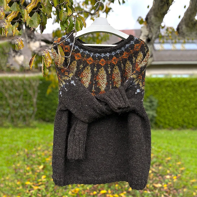 Vintage Geometric Fish-Dried Graphic Knitted Sweater