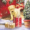 Diamond Painting -DIY Round Drill Christmas Dog（40x40cm）