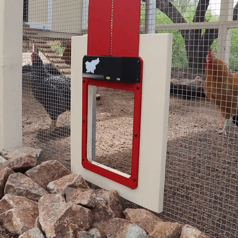 Hugoiio™ Automatic Chicken Coop Door