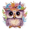 6Pack Owls-Crystal Rhinestone Diamond Painting(30x30cm)