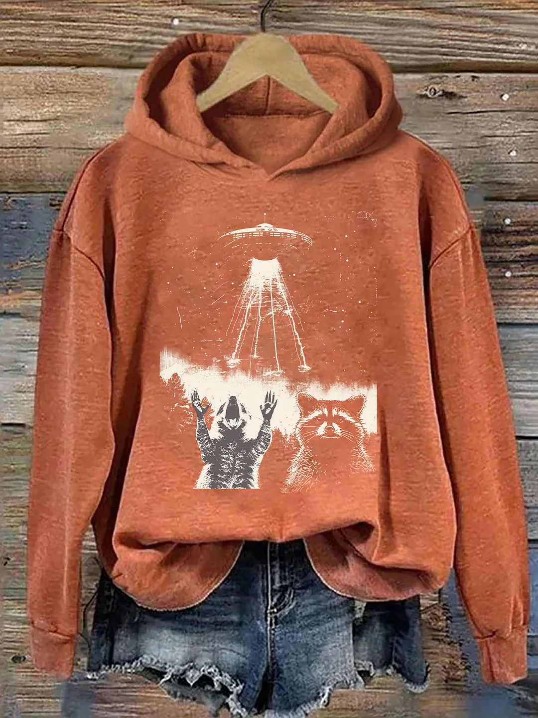 Raccoon UFO Hoodie