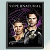 Supernatural-11CT Stamped Cross Stitch 40*50cm tapestrymarket