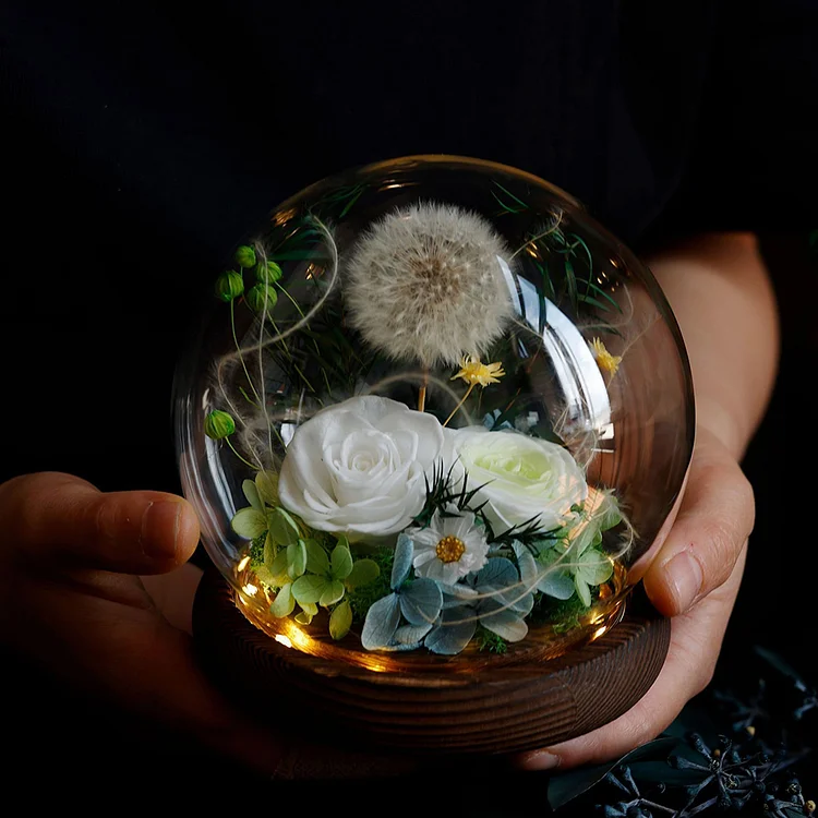 Round/Acrylic Glass Cover Dandelion Rose Preserved Flower