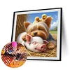 Diamond Painting -DIY Full Square Drill Dog Pig(45x45cm)