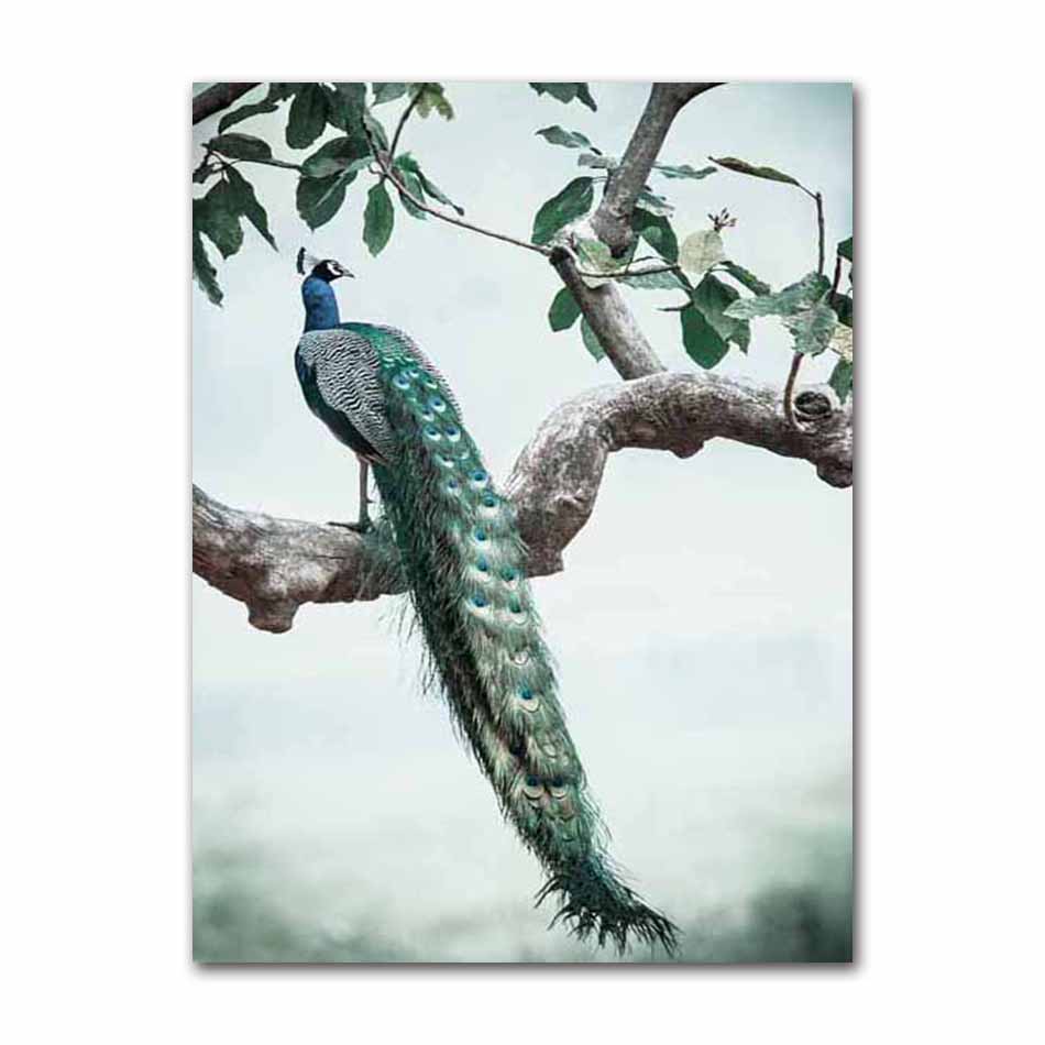 Peacock Feather Art Poster Tree Branch Animal Leopard Elephant Painting Prints Water Ripples Aloe Abstract Wall Picture Decor